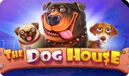 Luckyhills – The Dog House